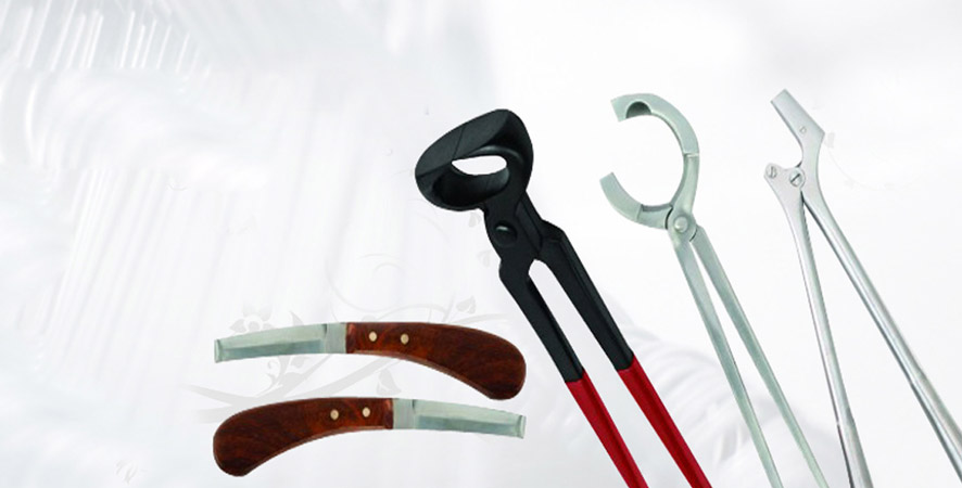 Veterinary Instruments
